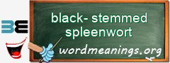 WordMeaning blackboard for black-stemmed spleenwort